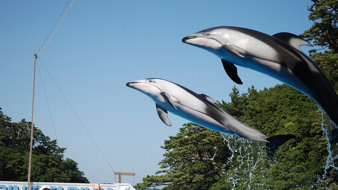 【下田海中水族館入場券付】イルカと遊べる人気の施設！レストラン食／露天風呂付客室